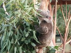 -费瑟代尔野生动物园