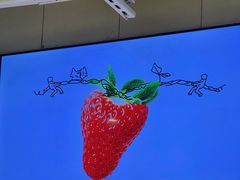 -喜茶(广州北京路惠福东店)