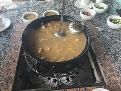 -蘑统田下·野生菌火锅