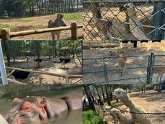 -大连森林动物园