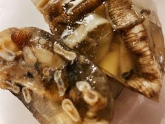 -铭聚章鱼土笋冻(松柏店)