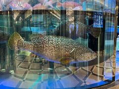 -金翠皇宫粤菜·点心·海鲜(科技园店)