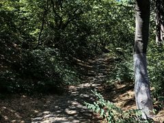 -烟台山景区
