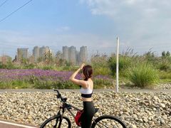 -白鹭湾湿地公园