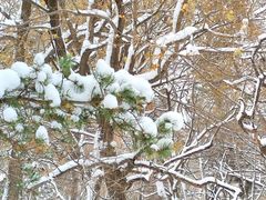 -长春市南湖公园