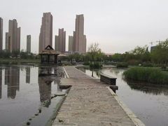 -前关湿地公园