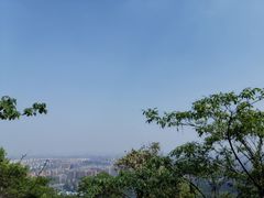 -杭州半山国家森林公园