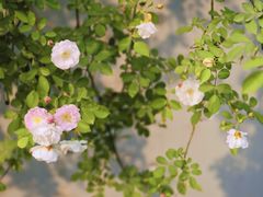 -建设三路(地铁站)