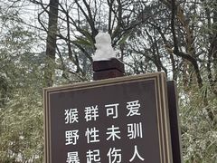 -峨眉山风景名胜区