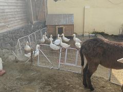 -HERRE·FARM 赫尔露营农场·团建聚会包场