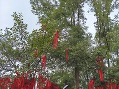 -成都老君山