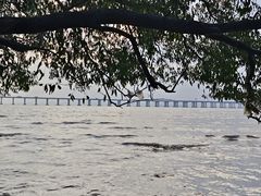 -宝安西湾红树林湿地公园