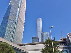 -羲和雅苑•北京烤鸭(国贸商城店)