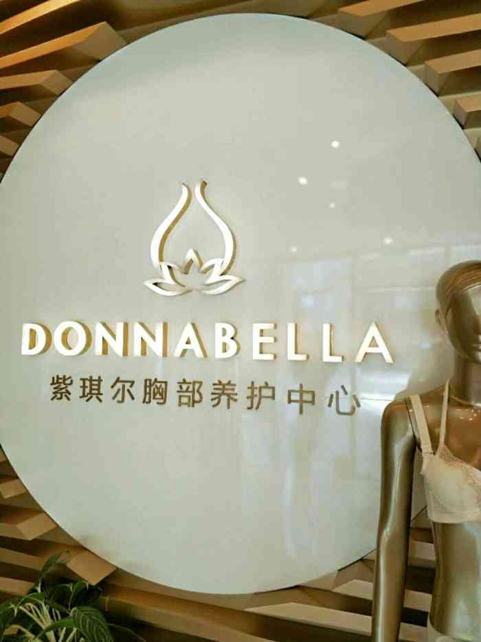 国际丰胸美胸机构