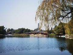 -百脉泉景区
