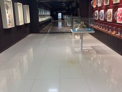 -青岛贝壳博物馆