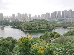-重庆彩云湖湿地公园
