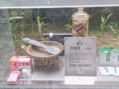 -广州神农草堂中医药博物馆