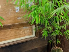-竹子咖啡bamboo coffee