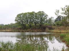 -翠湖国家城市湿地公园