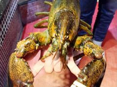 -海大大蒸汽海鲜餐厅·粤菜·特色小炒(欢乐颂店)