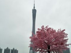 -狮头牌卤味研究所·卤味饭(花城汇南区店)