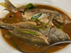 -闽海肴(北辰荟店)