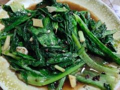 -东鸽皇(奥园·中环广场店)