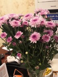 -YESIDO椰岛美容