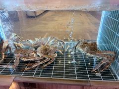 -北海富丽华大酒店·御园中餐厅