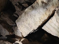 -怀托摩萤火虫洞