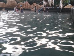 -青岛海泉湾度假区温泉