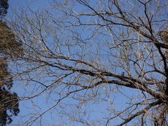 -泰山风景名胜区-普照寺