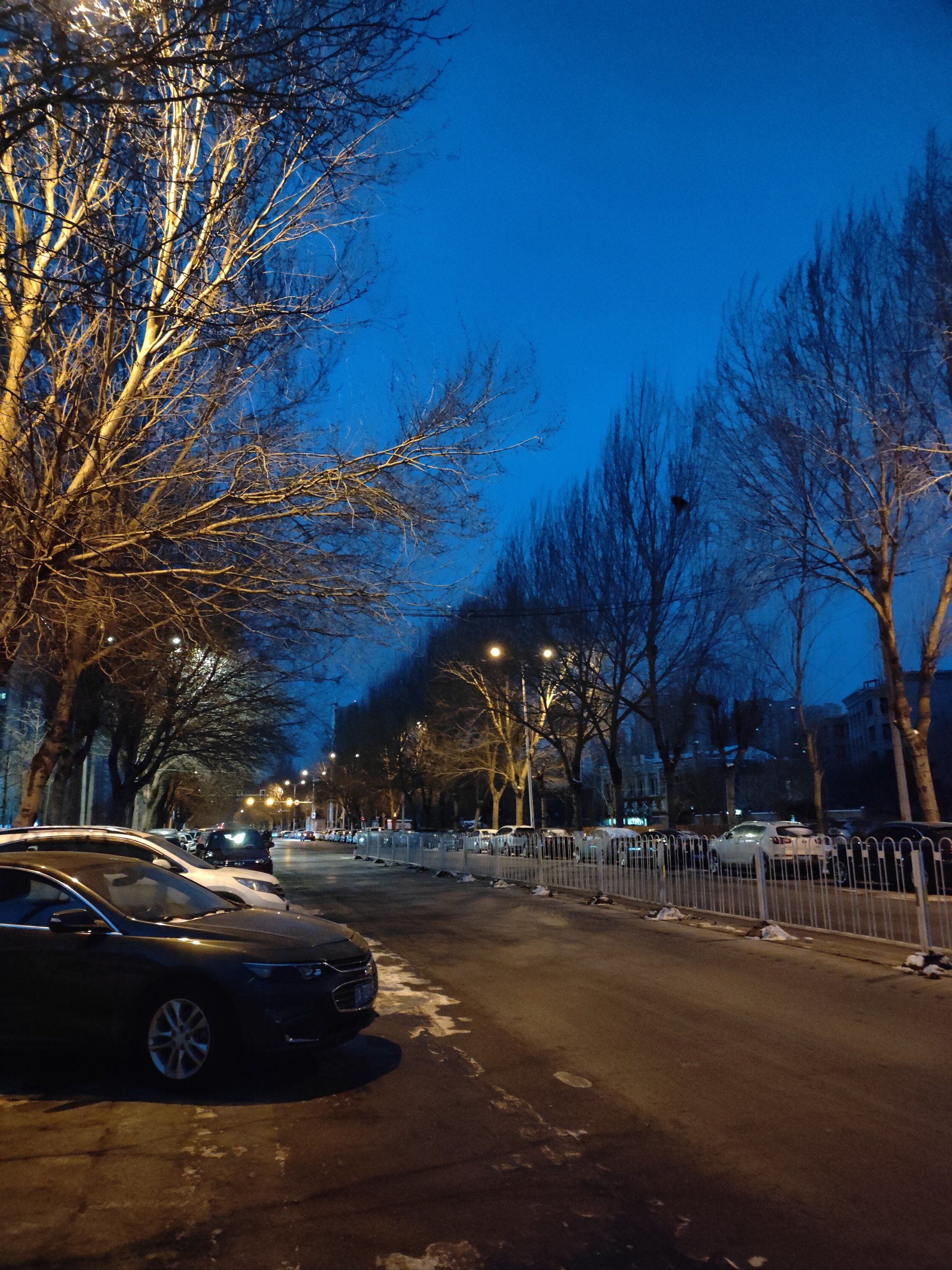 清晨的沈阳街头