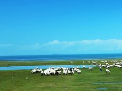 -青海湖国家重点风景名胜区