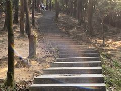 -火炉山森林公园