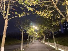 -南京眼步行桥