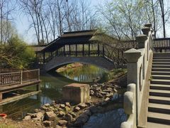 -合肥滨湖国家森林公园