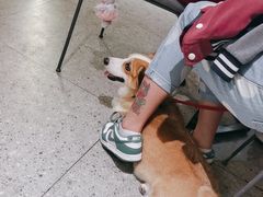 -Money Shops(愚园路店)