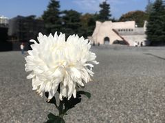 -侵华日军南京大屠杀遇难同胞纪念馆