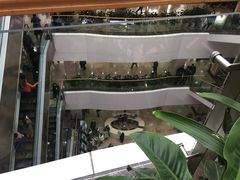 -重庆医科大学附属第一医院(本部)