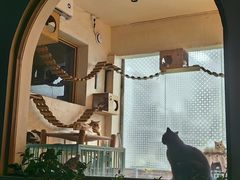 -小时光咖啡馆(开森度假森林店)