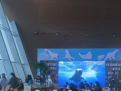 -抱抱地球咖啡馆(国家海洋博物馆店)