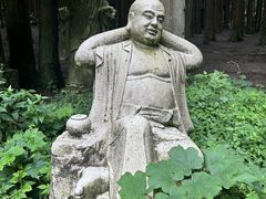 -武陵山森林公园