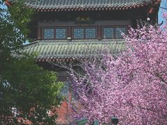 -堤角公园