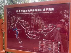 -凤栖山