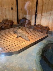 -未来动物城动物主题公园(大悦城店)