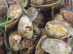 辣炒花蛤-叶存利海鲜大馅饺子(东戴河止锚湾店)