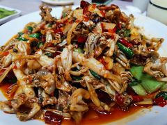 子姜蛙-呱呱兔庄