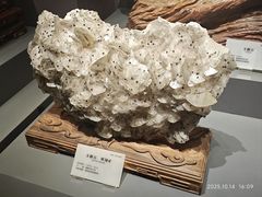 -湖南省地质博物馆